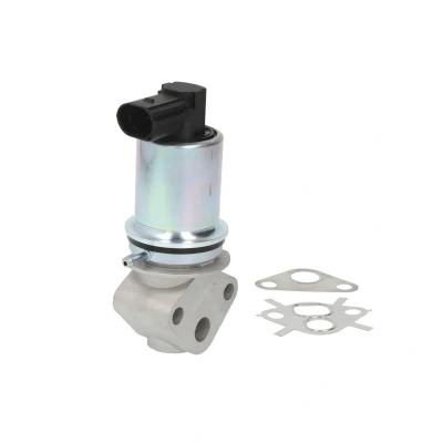 Afbeelding van EGR klep MAGNETI MARELLI 571822112018