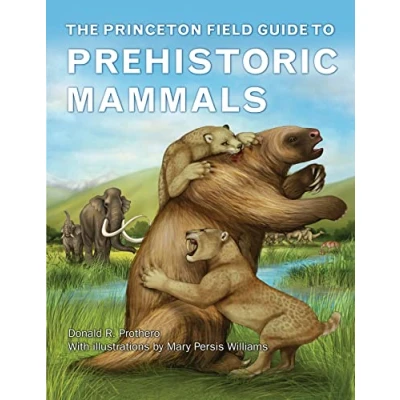 Afbeelding van Princeton Field Guide to Prehistoric Mammals