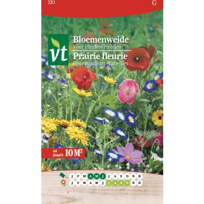 Afbeelding van Bloemenweide Voor Bijen En Vlinders 10m²