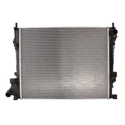 Afbeelding van Thermotec Radiateur D7R038TT