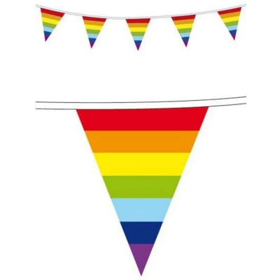Afbeelding van Vlaggenlijn regenboog punt 10 meter