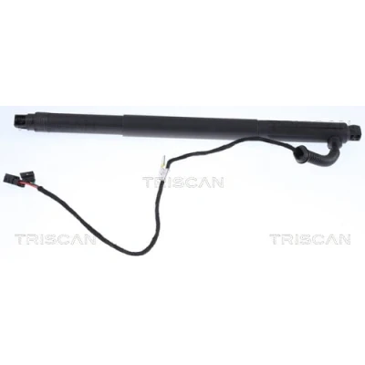 Afbeelding van Triscan Gasveer 8710 11301