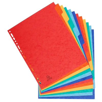Afbeelding van Exacompta ref. 2412E Soepele glanskartonnen tabbladen 225g/m2 FSC® met 12 neutrale tabs Formaat A4 Maxi Afmetingen: 24,5 x 29,7 cm geassorteerde kleuren