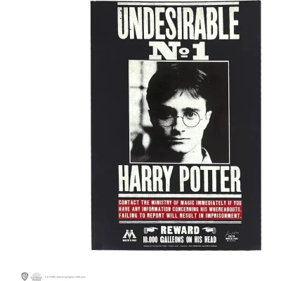Afbeelding van Undesirable N1 Notebook