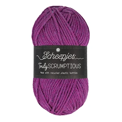 Afbeelding van Scheepjes Truly Scrumptious 100gram 376 Acai Bowl