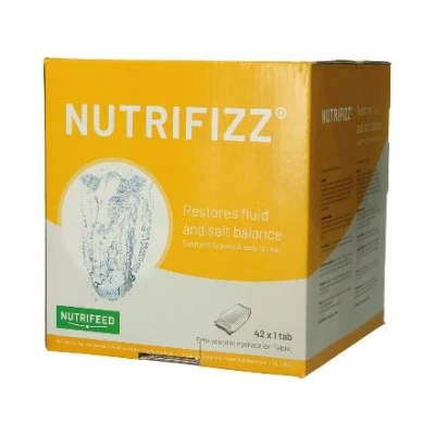 Afbeelding van Nutrifrizz bruistablet 42x1 tablet
