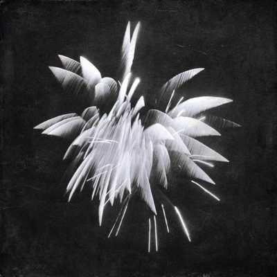 Afbeelding van Brent Windler New Morning Howl (LP)
