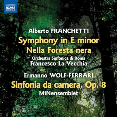 Afbeelding van Francesco La Vecchia Minensemblet Orchestra Si Symphony In E Minor Nella Foresta Nera Sinfoni (CD)