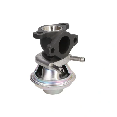 Afbeelding van Wahler EGR klep 712069D