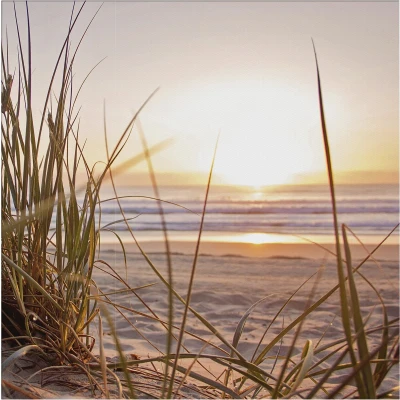 Afbeelding van Art for the Home Zonsondergang Duinen Buitencanvas 50x50 cm