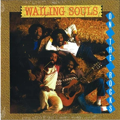 Afbeelding van Wailing Souls On The Rocks