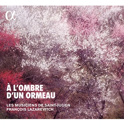 Afbeelding van Les Musiciens de Saint Julien À l&#039;ombre d&#039;un ormeau (CD)