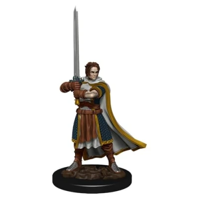 Afbeelding van Dungeons and Dragons: Icons of the Realms Human Cleric Male