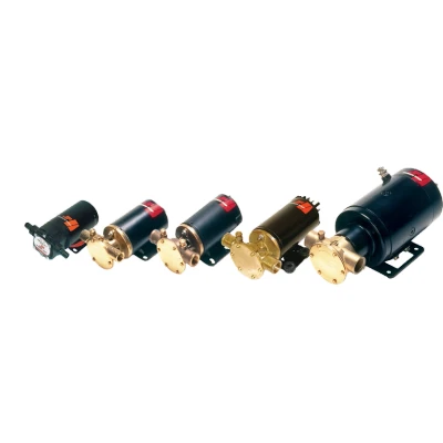 Afbeelding van Johnson pump zelfaanzuigende impellerpomp f5b 19 24v 55l/min aansluiting 3/4 bsp