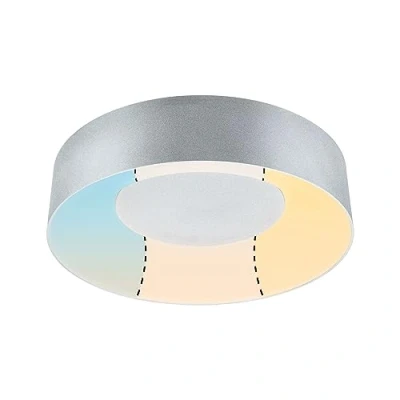 Afbeelding van Paulmann 71094 Casca LED plafondlamp 16 W Aluminium (mat)