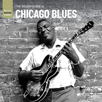 Afbeelding van V/A Rough Guide To Chicago Blues (LP)