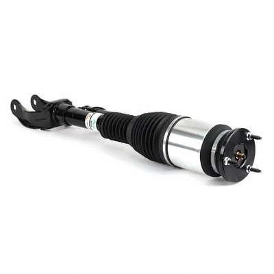 Afbeelding van Arnott AS 3154 Pneumatischeveerpoot Links voor MERCEDES BENZ: GL