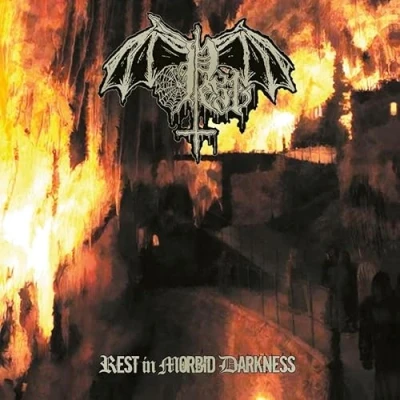 Afbeelding van Rest in Morbid Darkness
