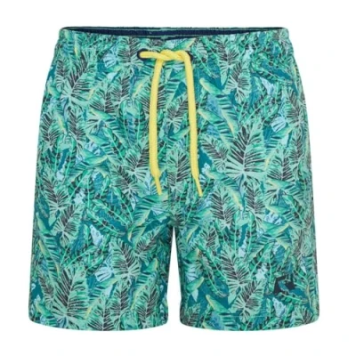 Afbeelding van Ript Essentials Zwembroek voor jongens, Green Leaf Print, 7 8 jaar