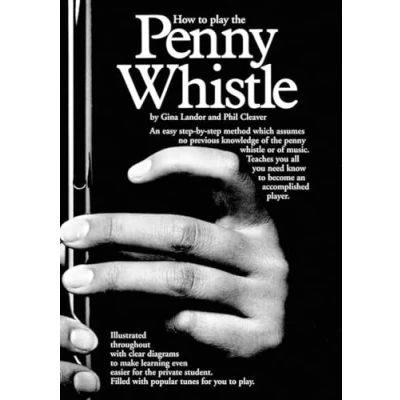 Afbeelding van How to Play the Penny Whistle