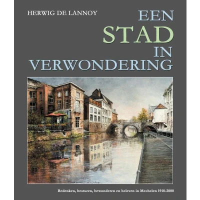 Afbeelding van Een stad in verwondering (Hardback)