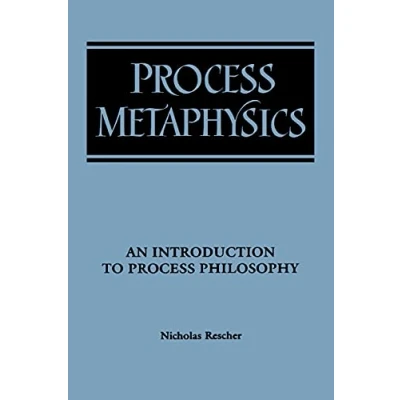 Afbeelding van Process Metaphysics