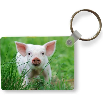Afbeelding van Sleutelhanger Varken Dieren Big Uitdeelcadeautjes Plastic