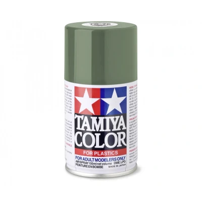 Afbeelding van TS 78 Field Grey 2 matt 100ml Spray