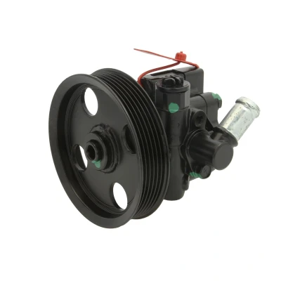 Afbeelding van Lauber Servopomp 55.4296