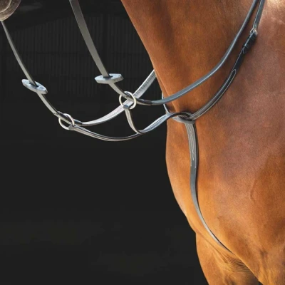 Afbeelding van Salisbury Martingaal Hulpteugel Black Cob