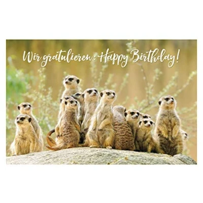 Afbeelding van bsb Felicitatiekaart voor verjaardag 11,5 x 17,0 cm hoogwaardige verjaardagskaart met envelop mooie verjaardagskaarten kinderen/vrouwen en mannen Happy Birthday kaart stokstaartje
