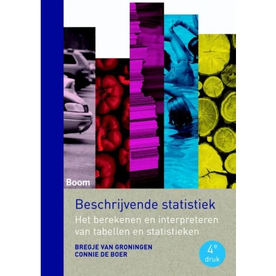 Afbeelding van Beschrijvende statistiek (Paperback)