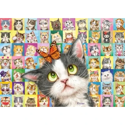 Afbeelding van Schmidt Spiele 59759 Kat Gezichtsuitdrukkingen, 1000 Stukjes Puzzel