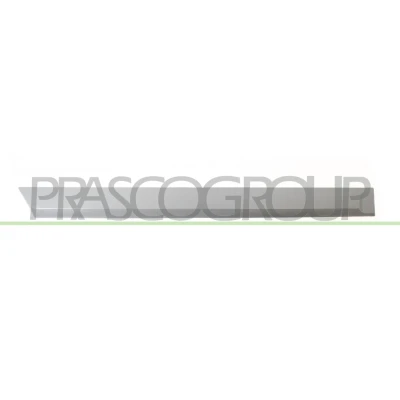 Afbeelding van Sier / beschermingspaneel, deur PRASCO OP4101463