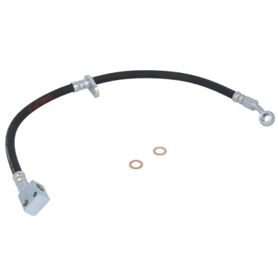 Afbeelding van Delphi Diesel Remslang LH6491