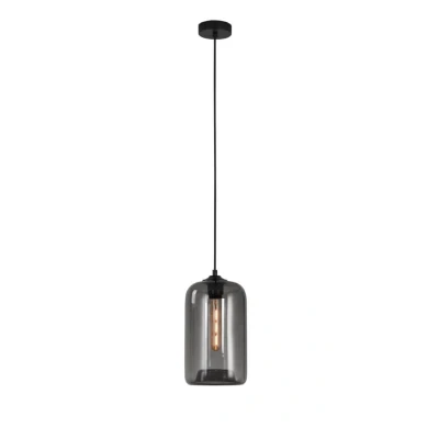 Afbeelding van Artdelight 1 lichts hanglamp BOTANY smoke glas HL GR