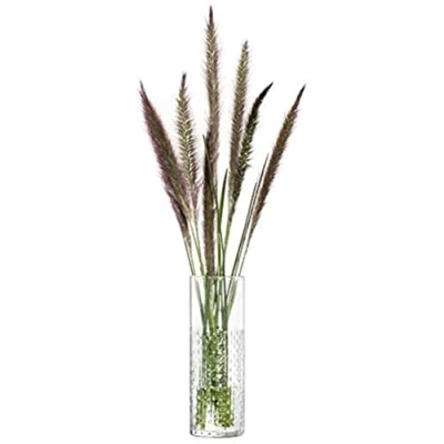 Afbeelding van L.S.A. Wicker Vaas 20,6 cm Hoog Transparant