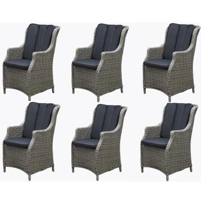 Afbeelding van Set van 6 stuks Darwin dining tuinstoel grijs wicker