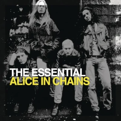 Afbeelding van Essential Alice In Chains