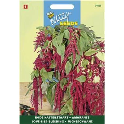 Afbeelding van Amaranthus, Kattenstaart rood