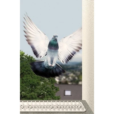 Afbeelding van Schellenberg 50778 vogelpinnen STANDARD, kunststof, semi transparant, 2 meter totaal