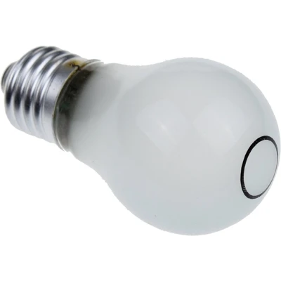 Afbeelding van Whirlpool Indesit 481213418056 koelkastlamp C00315052 gloeilamp