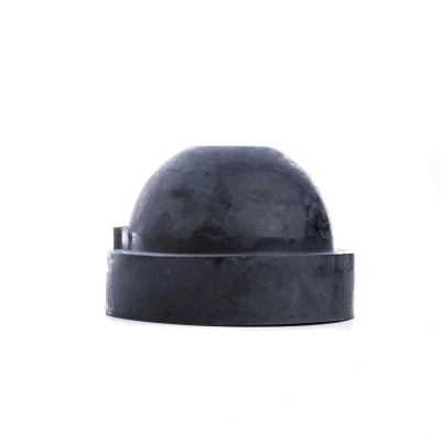 Afbeelding van EINPARTS EPC19 Kap, koplamp
