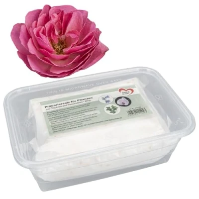 Afbeelding van Ideen mit Herz Prepareerzout voor bloemen, planten en grassen, drogen conserveren, 800 g
