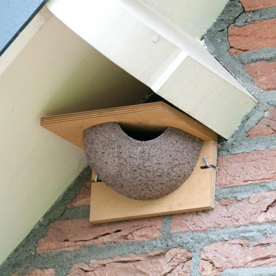 Afbeelding van Huiszwaluw nest (ingang rechts) voor tuinvogels