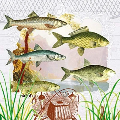 Afbeelding van 20 servetten vissen in portret/dieren/meer/vissen 33 x cm