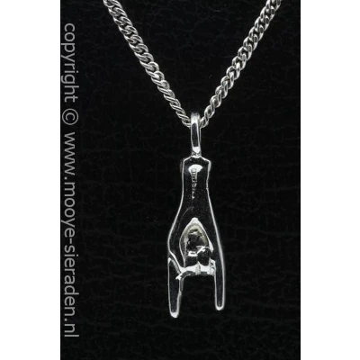 Afbeelding van Zilveren Duivelshand middel ketting hanger