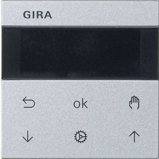 Afbeelding van Gira System 3000 Jaloezie/schakelklok display kleur