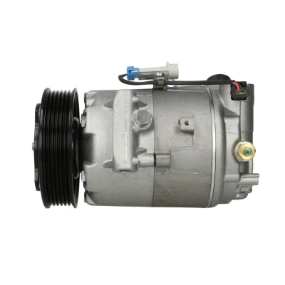 Afbeelding van Delphi Diesel Airco compressor TSP0155967