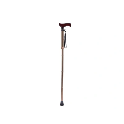 Afbeelding van Essentials Wandelstok derby opvouwbaar brons 1 stuks